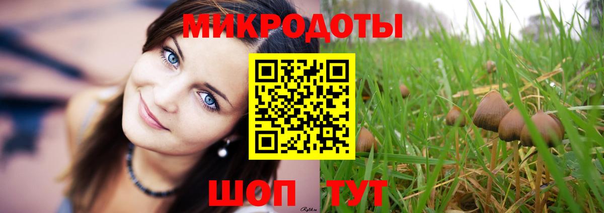 Ступино  Псилоцибиновые грибы Magic Shrooms  купить  цена  Вход с VPN 